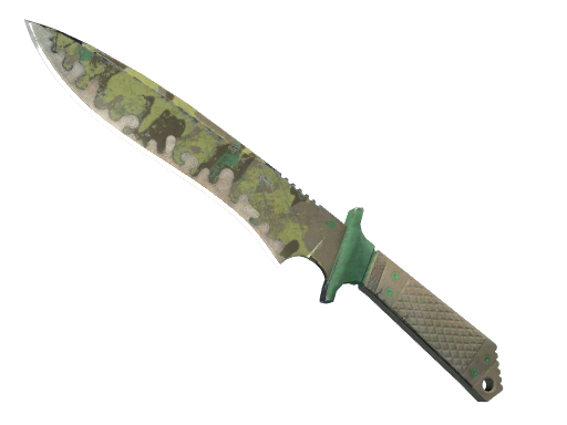 Boreal Forest